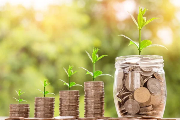 Coins in jar with plant