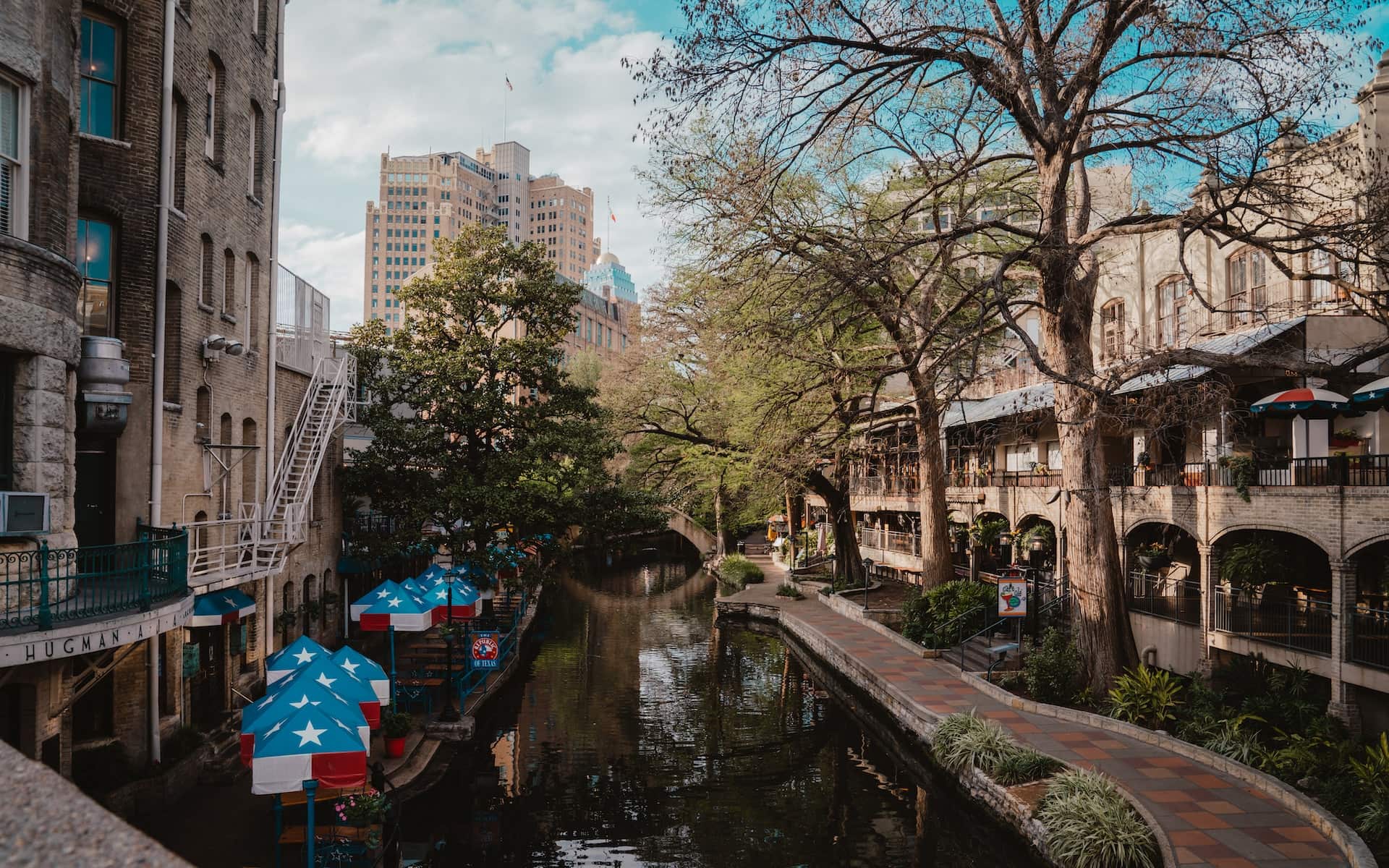 Main Image for All County Alamo Property Management