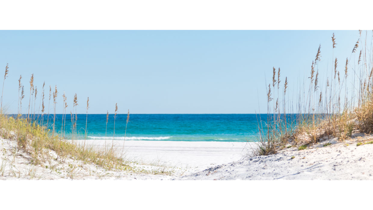 Main Image for All County Diamond Property Management