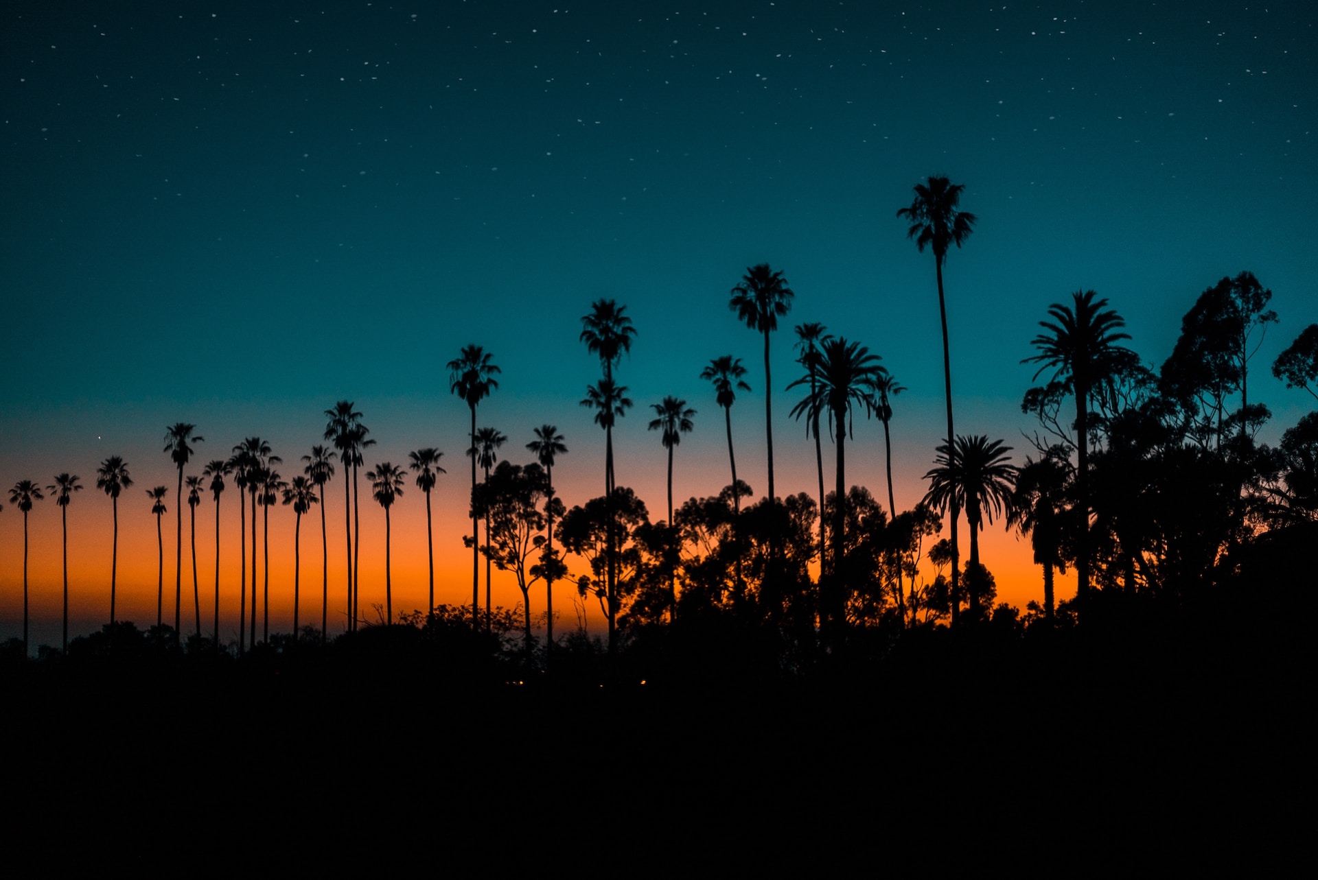 Main Image for All County Pacific Property Management