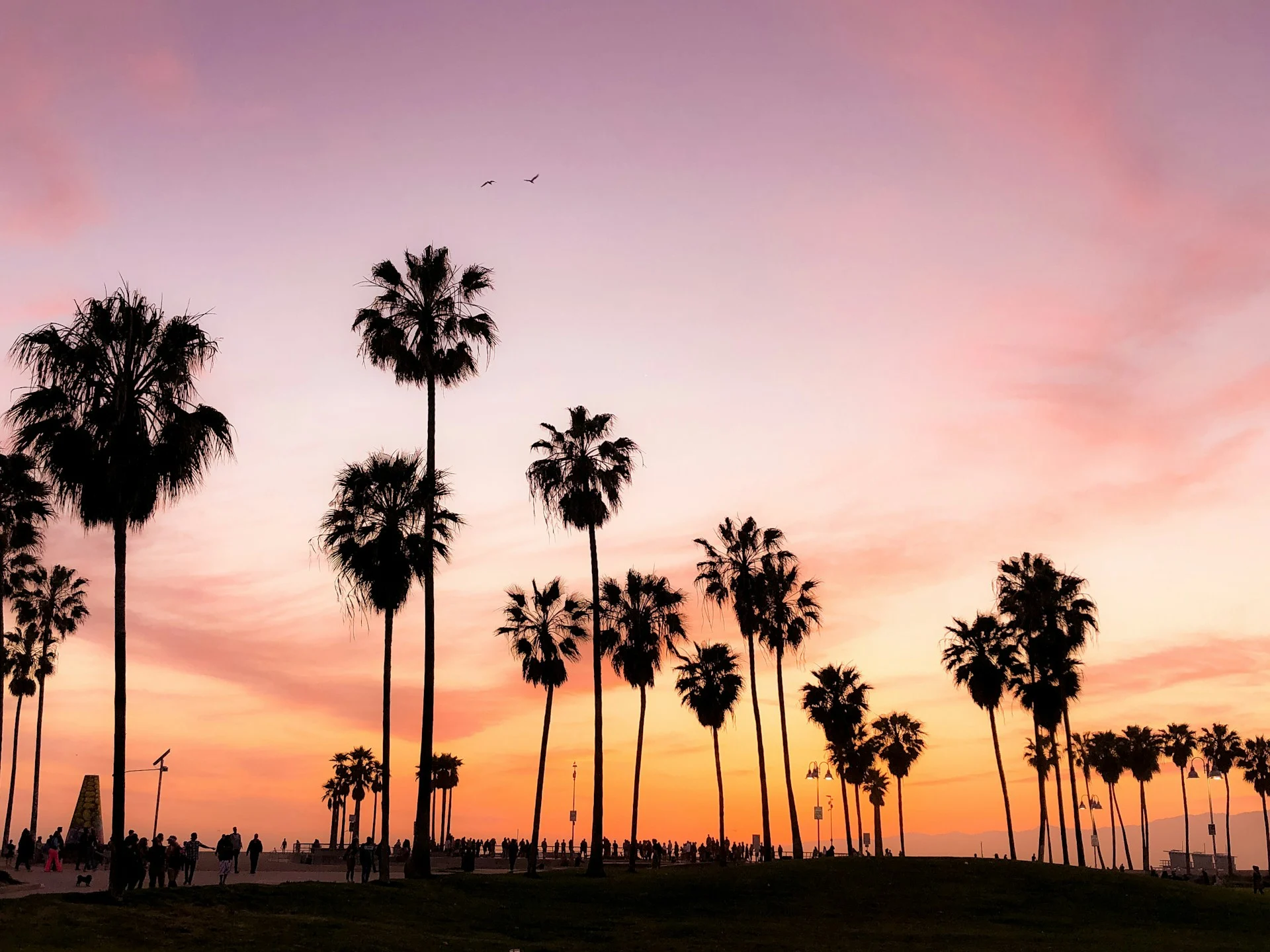 Main Image for Los Angeles